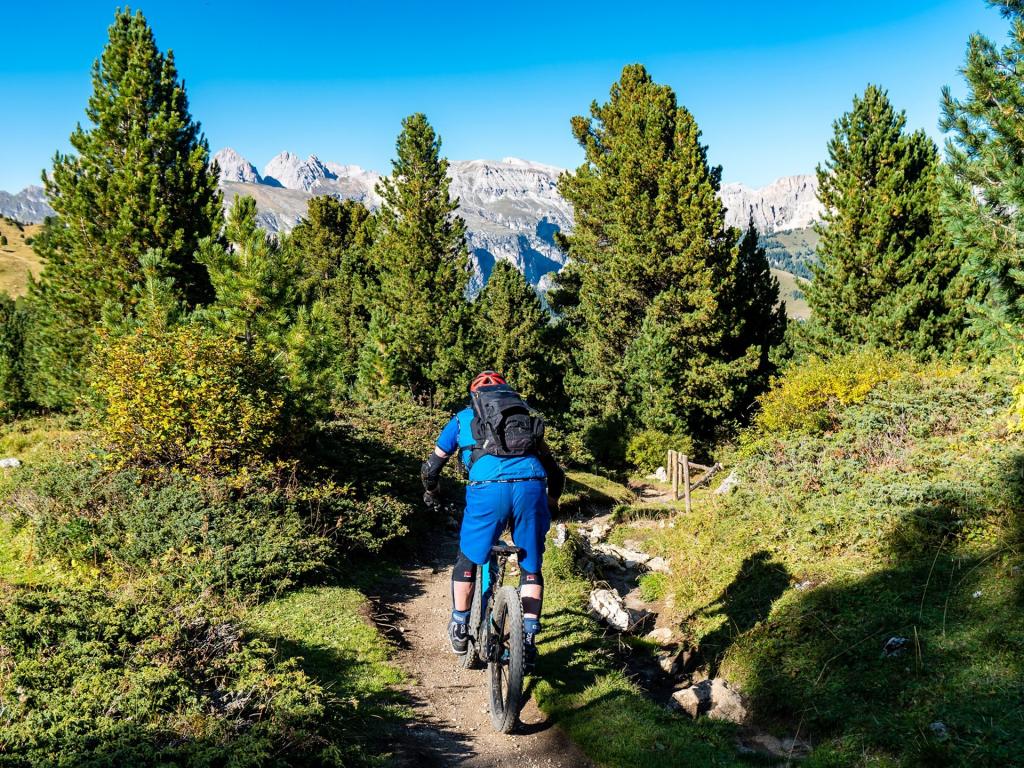 Mountain bike - Crossing woods in Val Gardena
