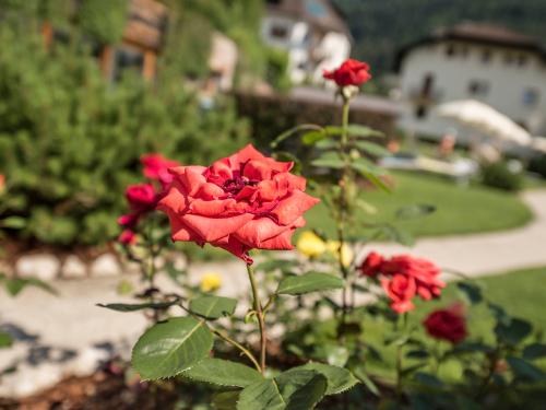 Hotel Angelo Engel in Ortisei Val Gardena Dolomites Italy