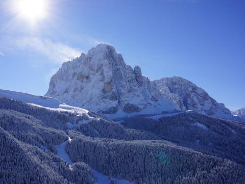Sassolungo in Val Gardena Italy