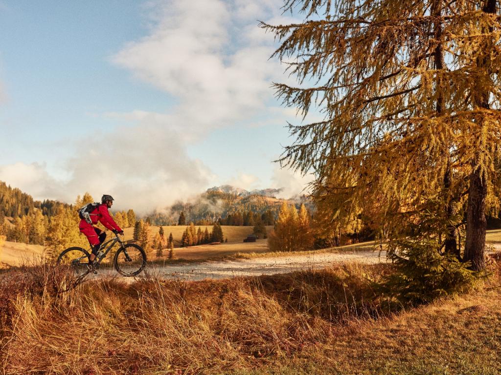Mountain bike in autumn - Alta Badia