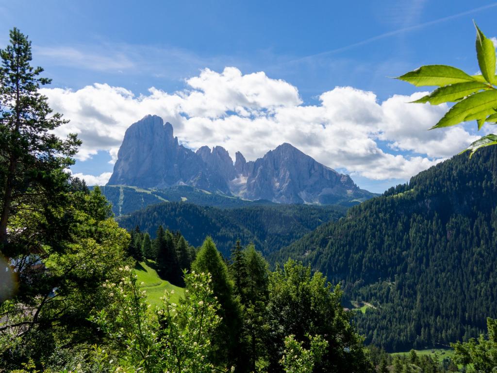 Blick zum Langkofel - Dolomiten